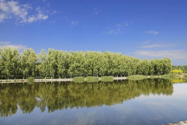 来清凉湾湿地公园邂逅美丽初夏